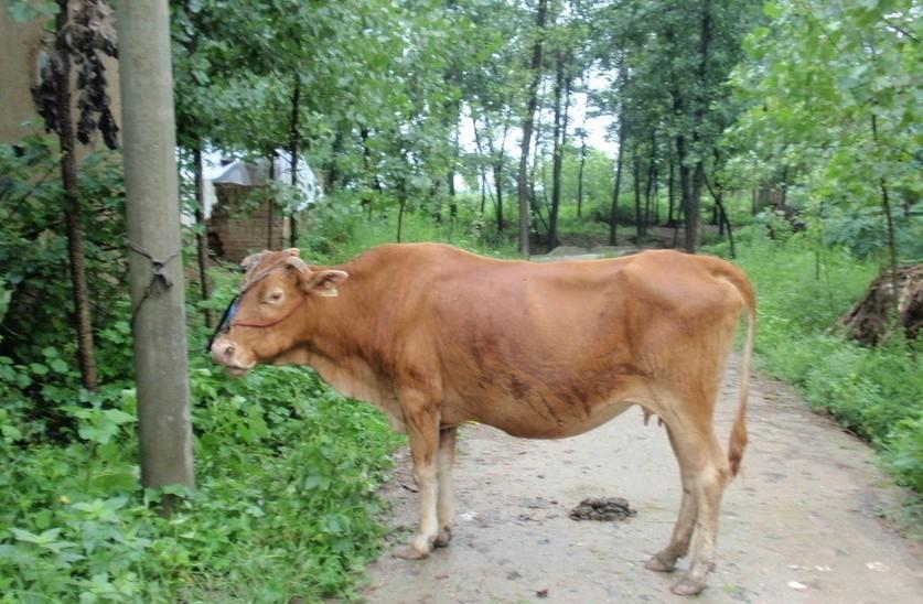 定州最新求一个套医保卡的黄牛是真的吗方法分析(最方便真实的定州求一个套医保卡的黄牛是真的吗还是假的方法)